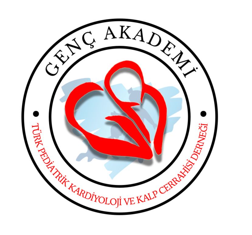 Genc Akademi