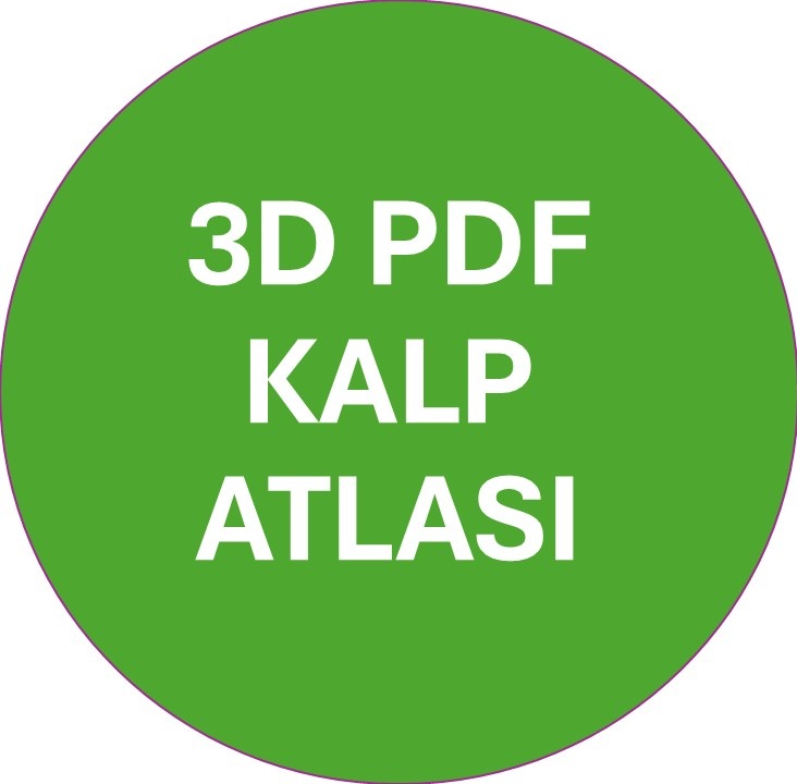 3D Atlas