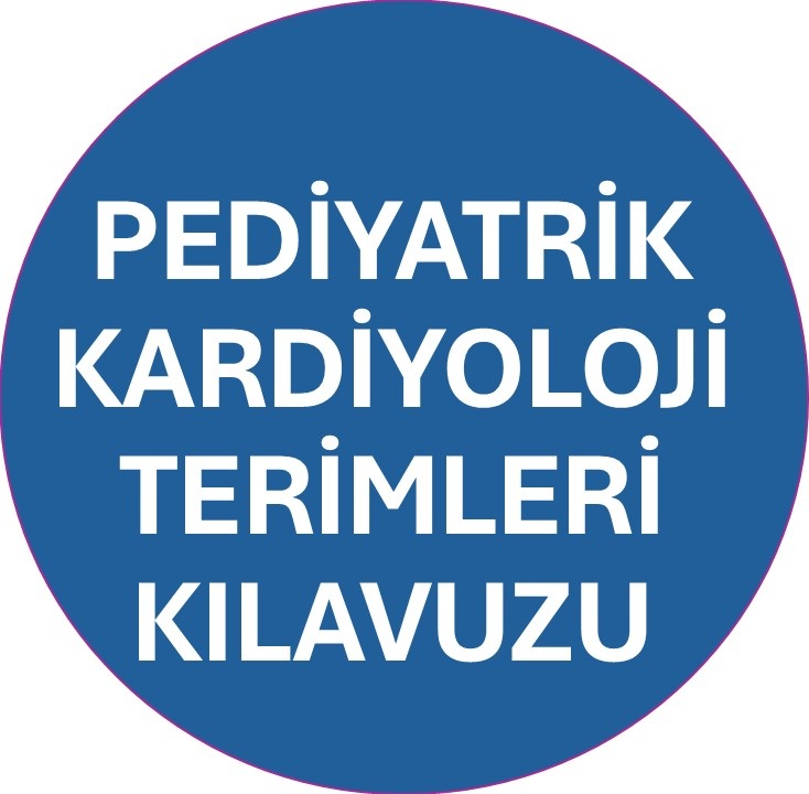 kılavuz