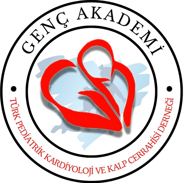Genc Akademi