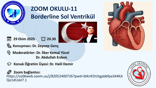 zoom okulu duyuru-11 borderline
